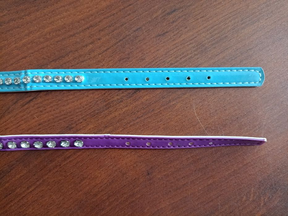 Obrożna dla małego psa lub kota z gumką, zestaw 2 sztuki