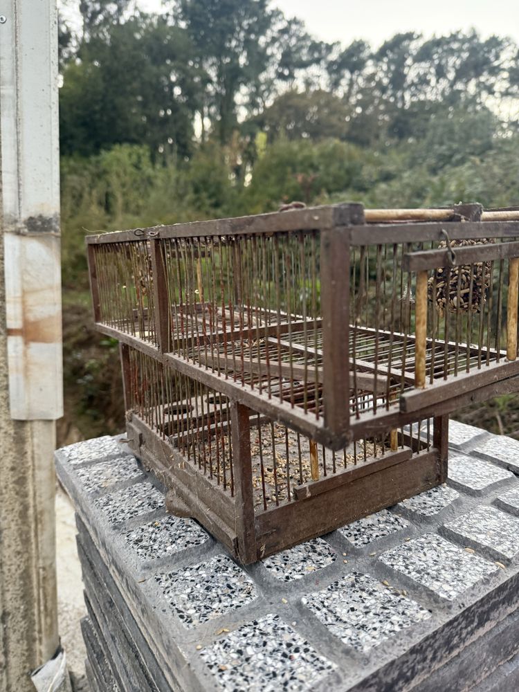 Gaiola em madeira