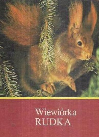 Wiewiórka Rudka X8098