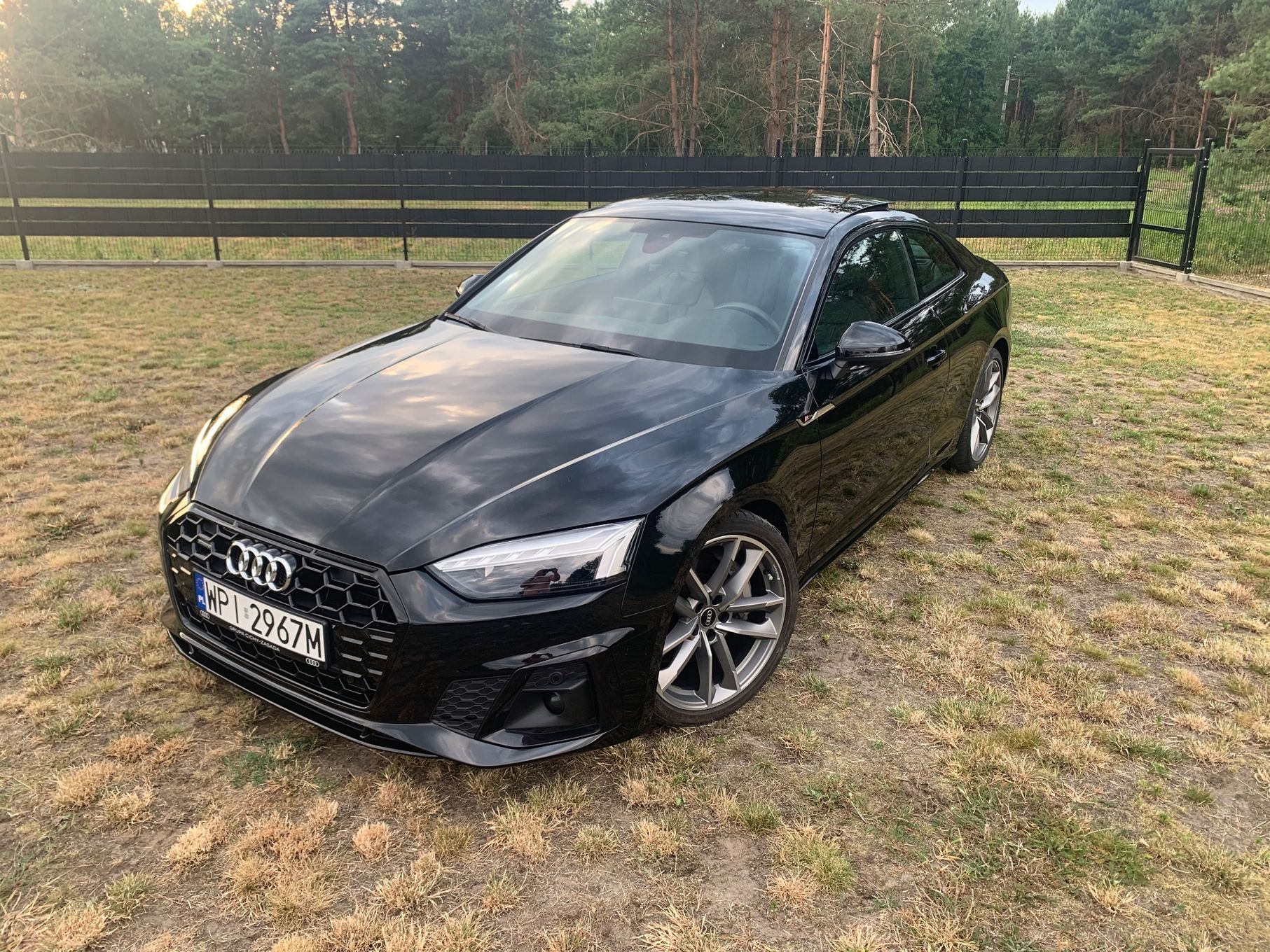 Audi A5 F5 S-Line 265PS Quattro Kamery360 Matrix Virtual Cockpit Igła