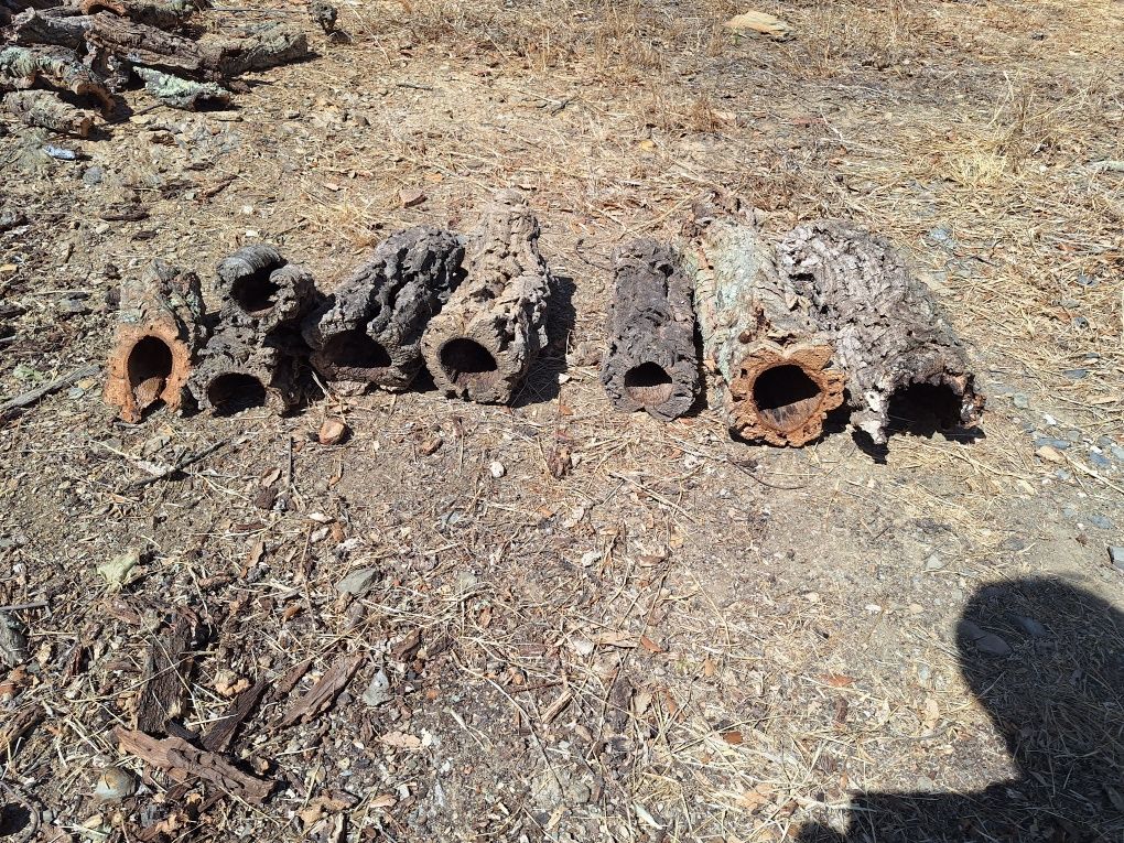 Tubos de cortiça para terrário, vários tamanhos