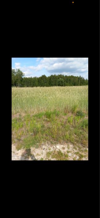 Dzialki budowlane stanislawow ulDebowa