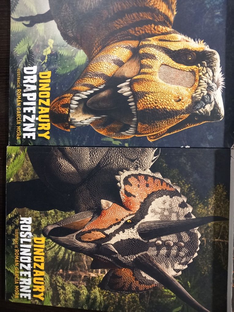 Zestaw książek A4 o dinozaurach i zwierzętach 4 sztuki