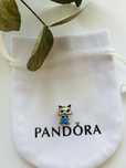 Nowy charms do bransoletek PANDORA