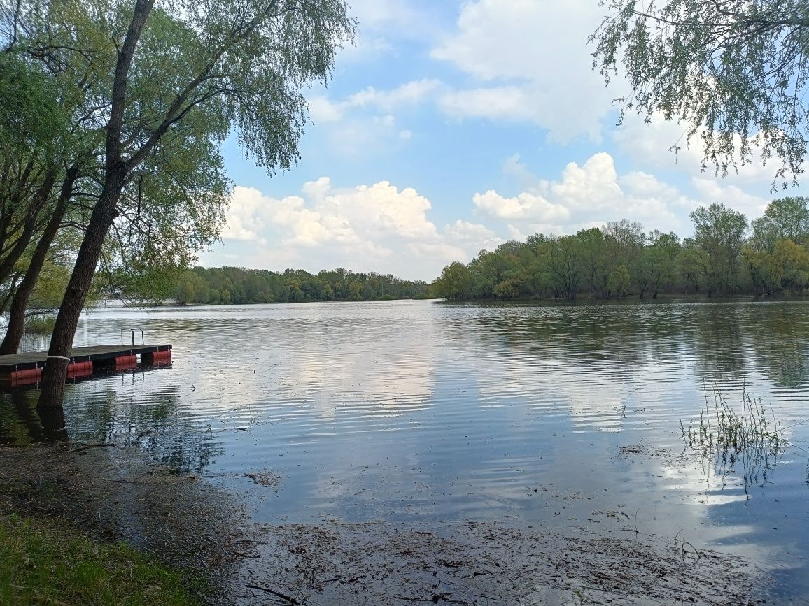 Жавинка. Горизонт. Біля води.