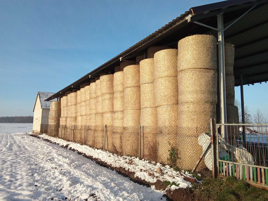 Sprzedam słomę, słoma pszenna 130x120