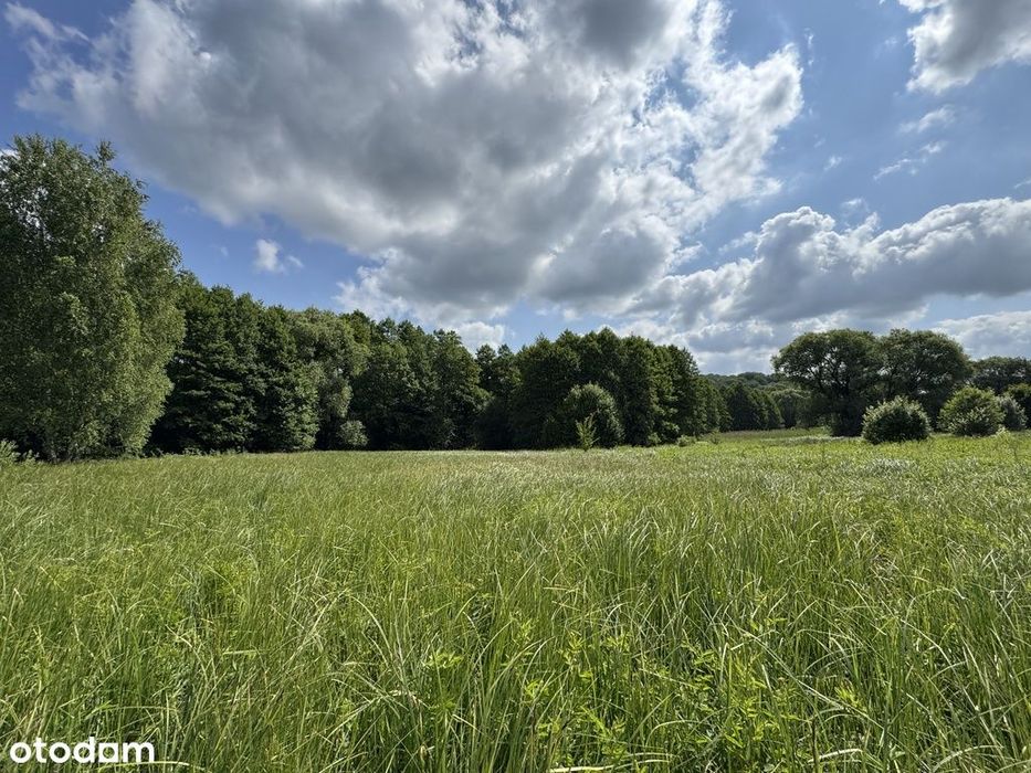 Działka z prywatnym laskiem