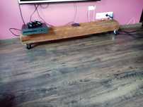 Belka stuletnia loft