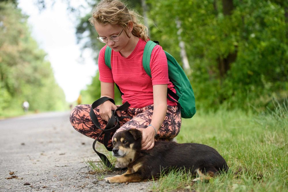 SMILKO - kompaktowy, przytulaśny, słodziutki pycholek