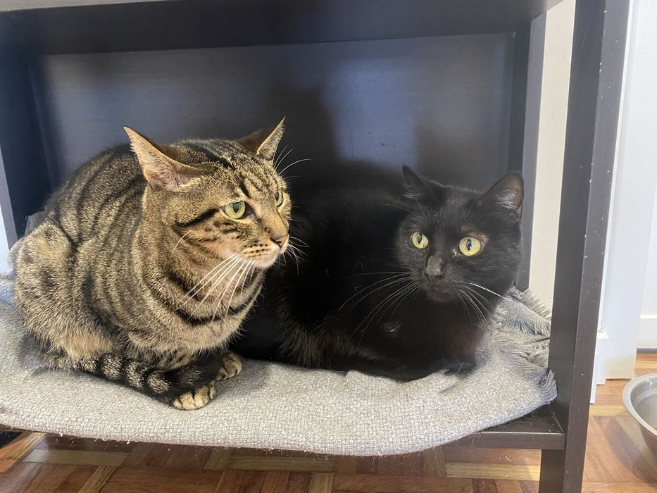 Doação! Ler anuncio