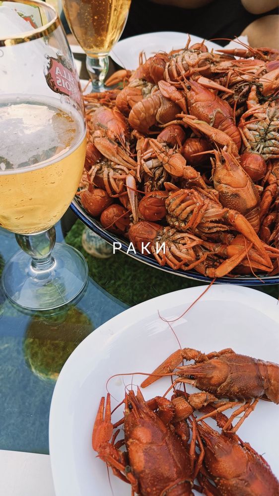 Раки Кропивницький