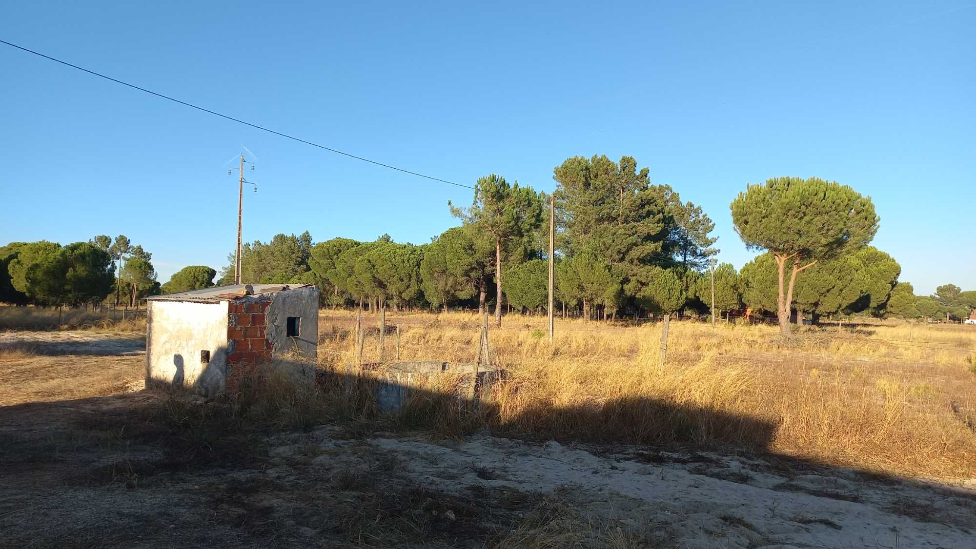 Terreno com habitação e arrecadações situado na Cilha Do Centeio