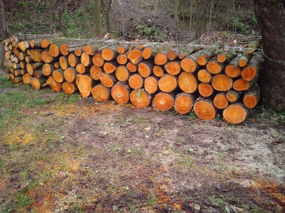 Kominek centralne wędzarnia drzewo metry ładne tanie twarde opał