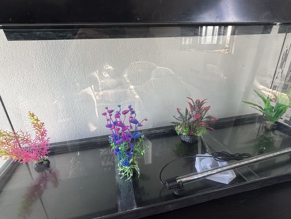 Aquario 100x40x30 120 litros