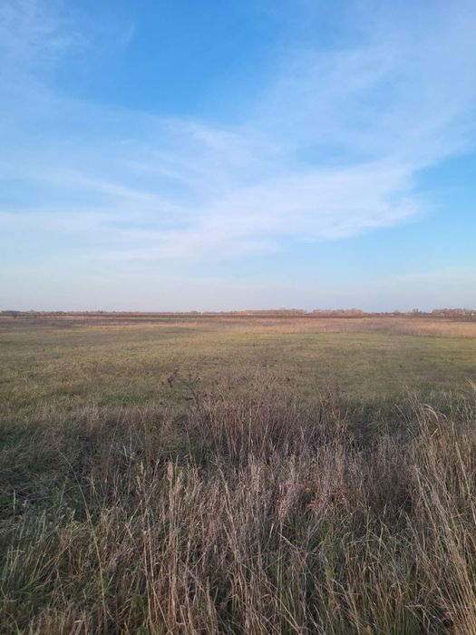 Продам земельну ділянку осг