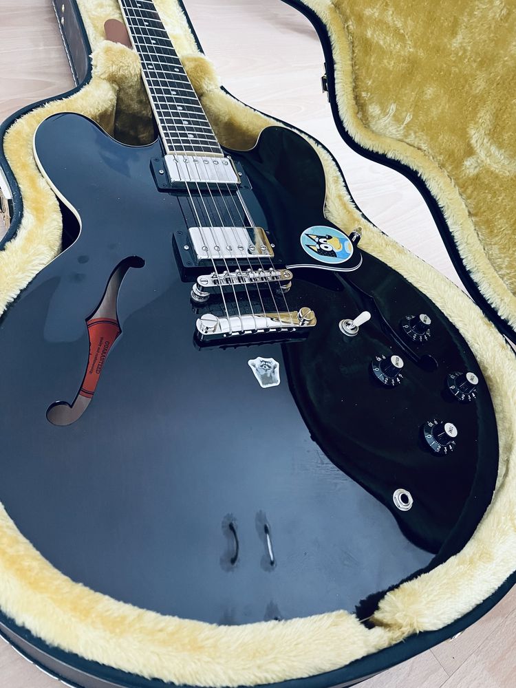 Epiphone ES-335 Jim James z casem