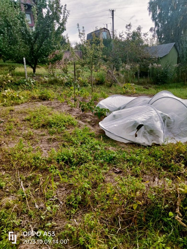 Продам дачу на масиві " Промінь".