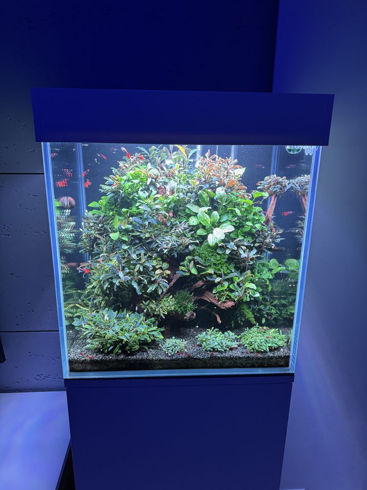 Akwarium 100L opti white