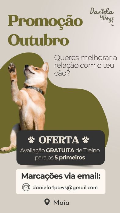 Treino e Comportamento Canino – Maia | Oferta Avaliação Inicial