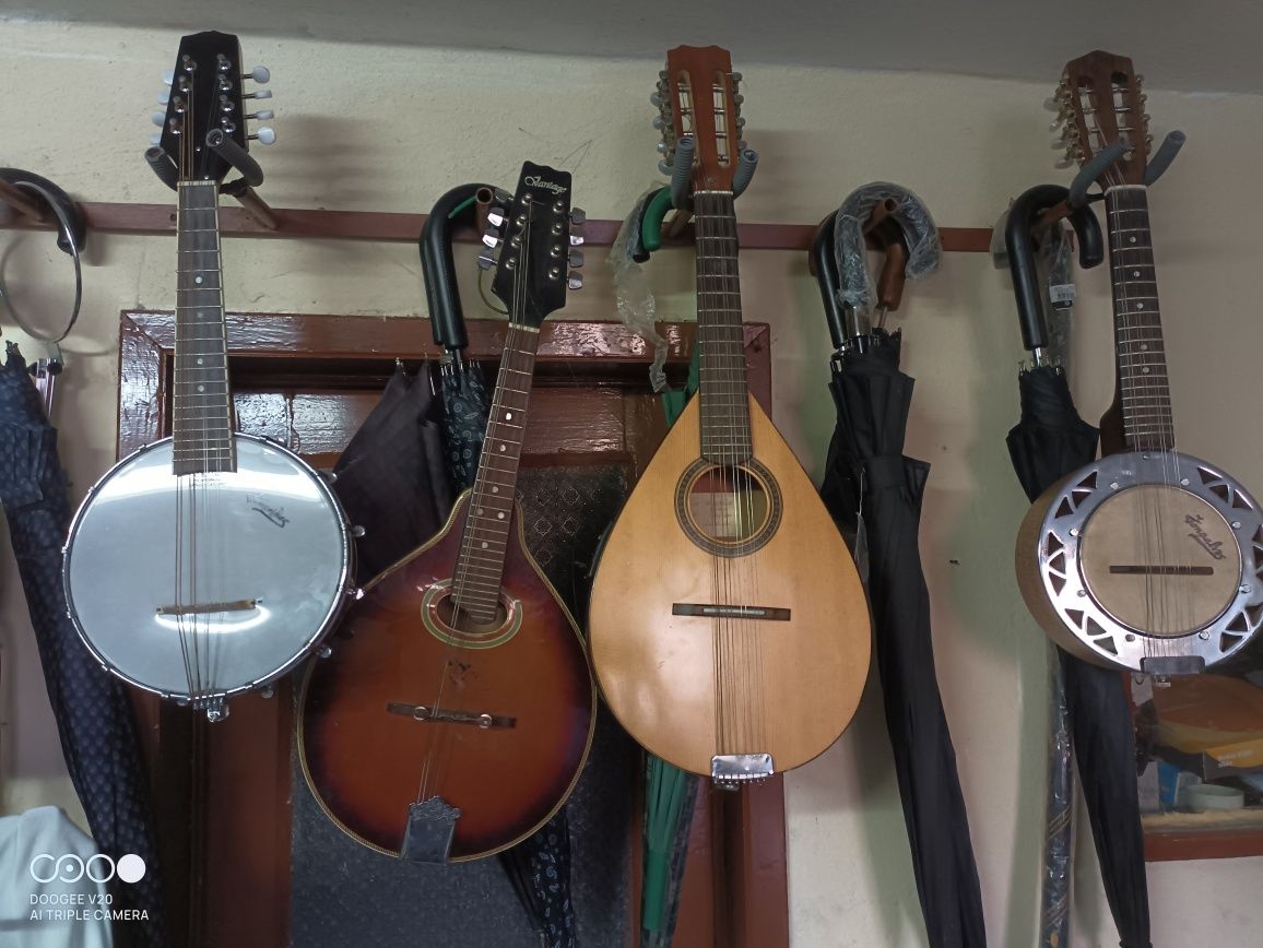 Banjos Bandolins