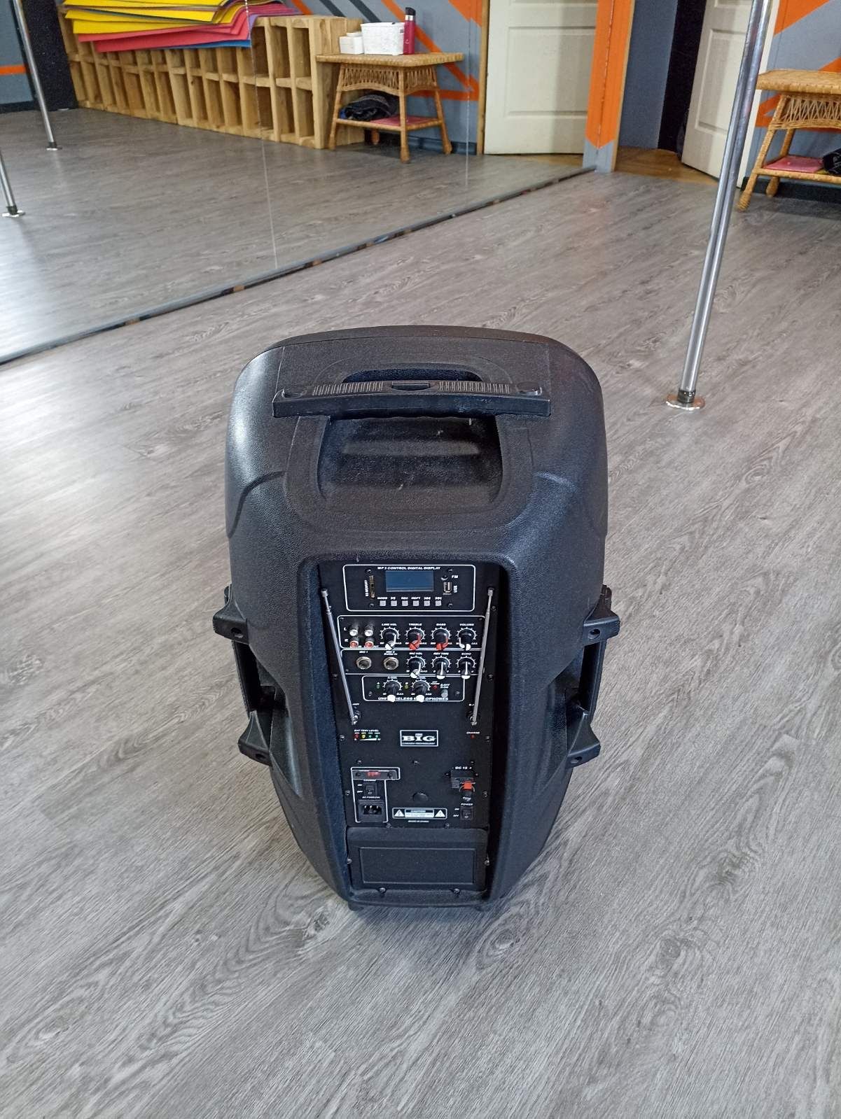 Потужна автономна колонка + 2 мікрофони (Bluetooth/FM/MP3)