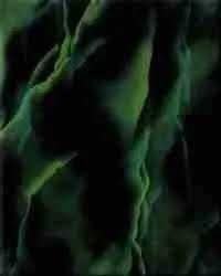 Płytki Tubądzin 20x25