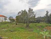 Terreno para Construção - Ulme