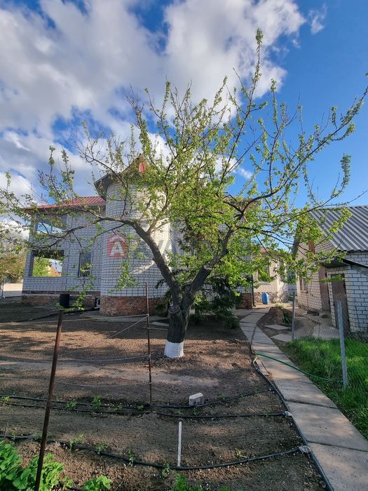 Палац на Блакитному озері. Єлизаветівка.