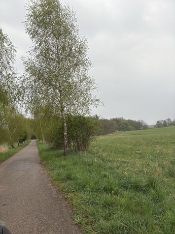 działka rolna na sprzedaż