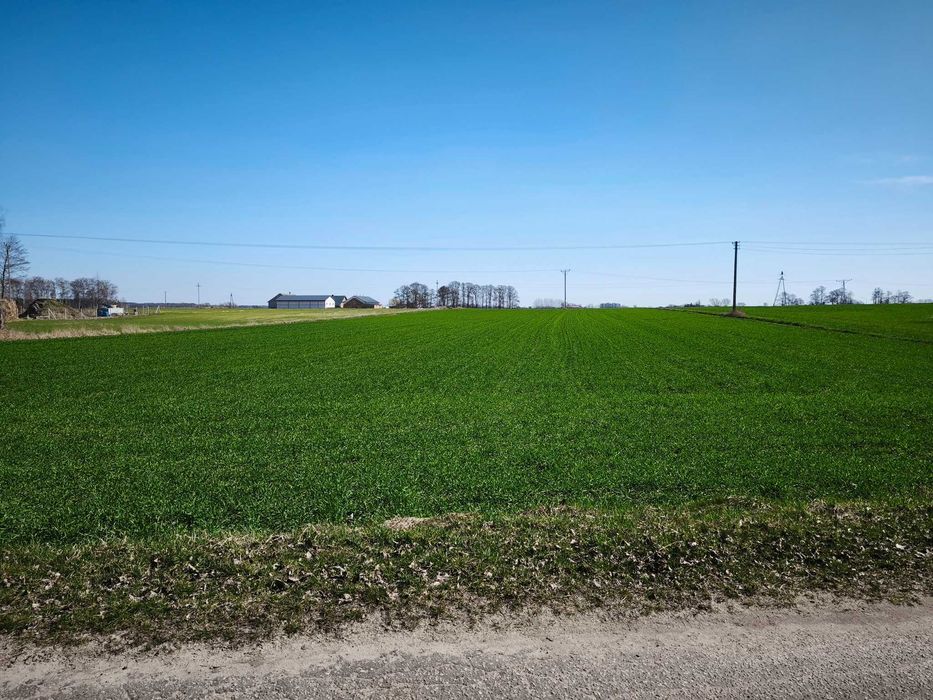 Sprzedam działkę rolno-budowlaną Osipy-Lepertowizna