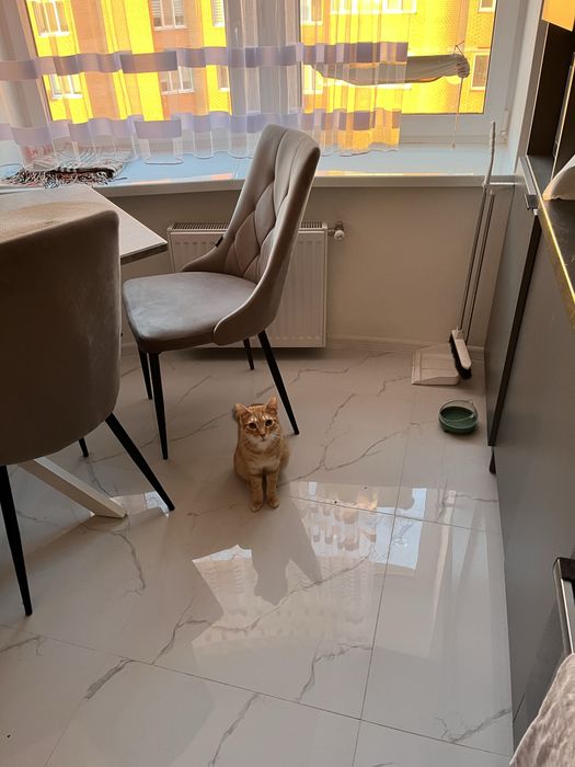 Маркусик шукає родину!!!