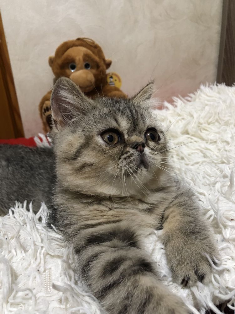 Экзотка девочка супер!