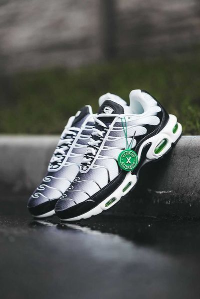 Мужские кроссовки Nike Air Max TN Plus кросівки весняні найк аір макс