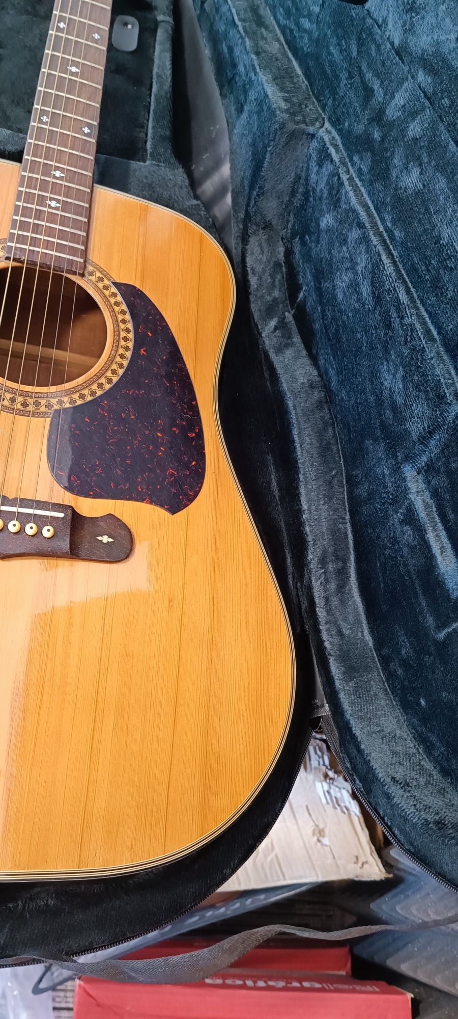 Estojo Guitarra (folk) Semi-Rígido [Novo]