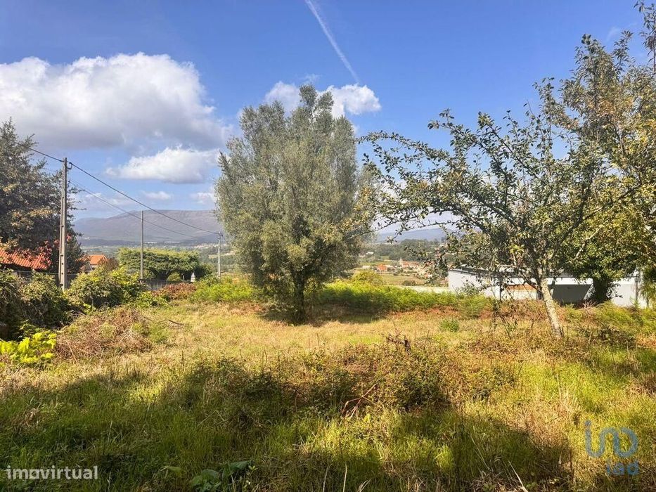 Terreno em Geraz Do Lima (Santa Maria, Santa Leocádia E Moreira) E Deã
