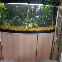 Акваріум Fluval 260л