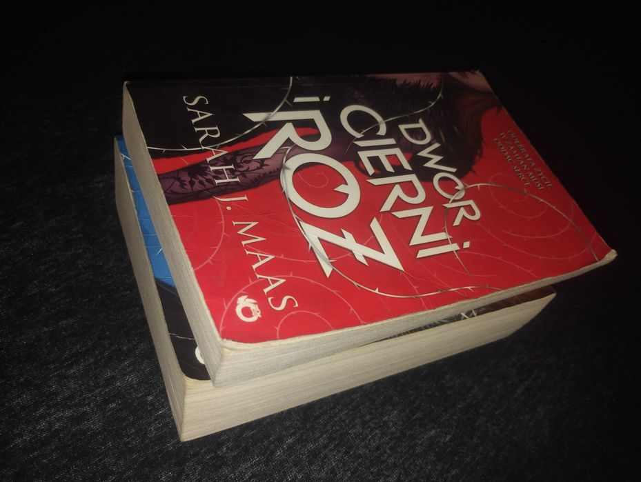 Dwór Cierni i Róż Mgieł i Furii Sarah J. Mass