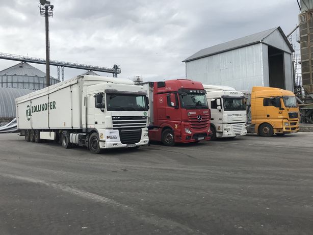 Щеповози для міжнародного перевезення відходів A з в Європи Італія ЄС