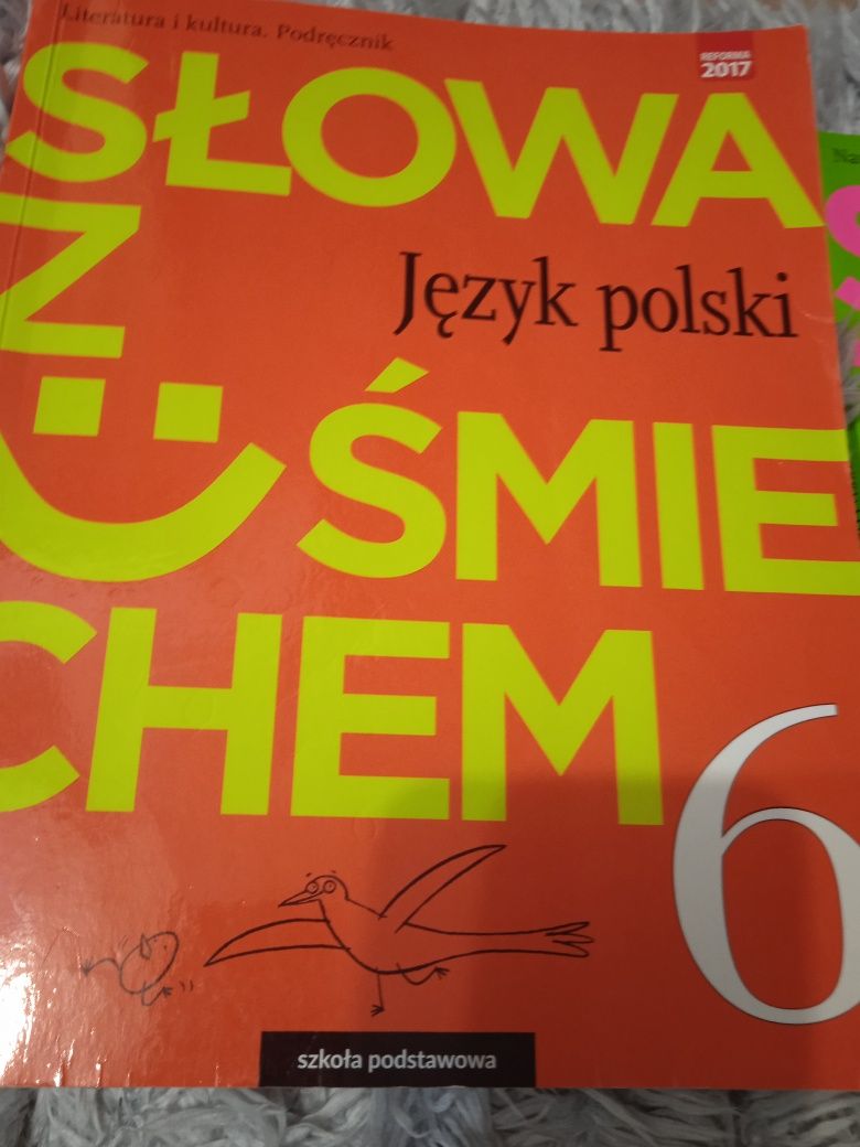 Język polski klasa6