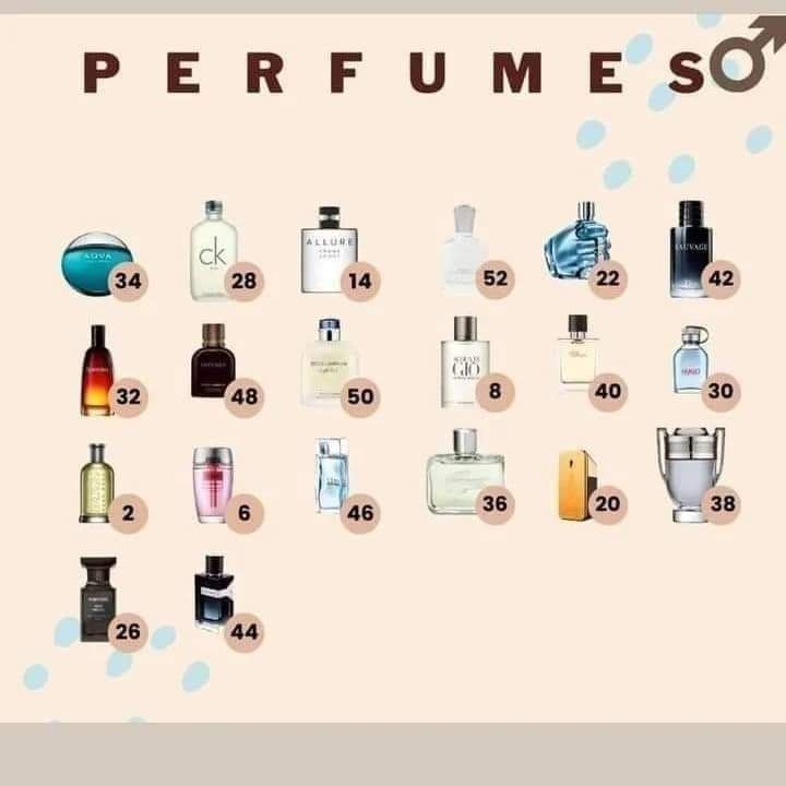 Equivalências de Perfumes