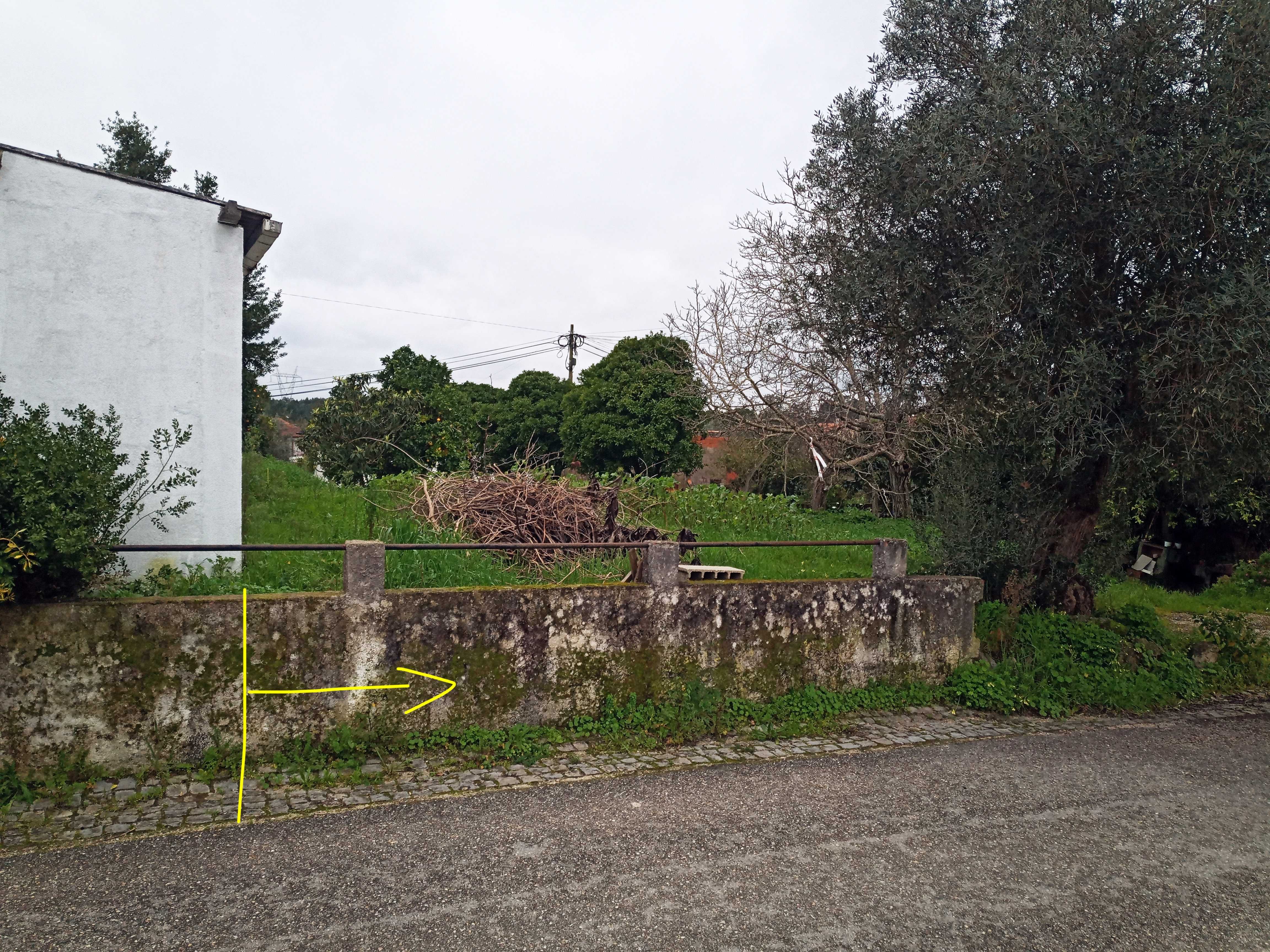 Terreno em Condeixa