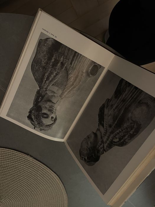 Michaił W. Alpatow Historia sztuki: Starożytność