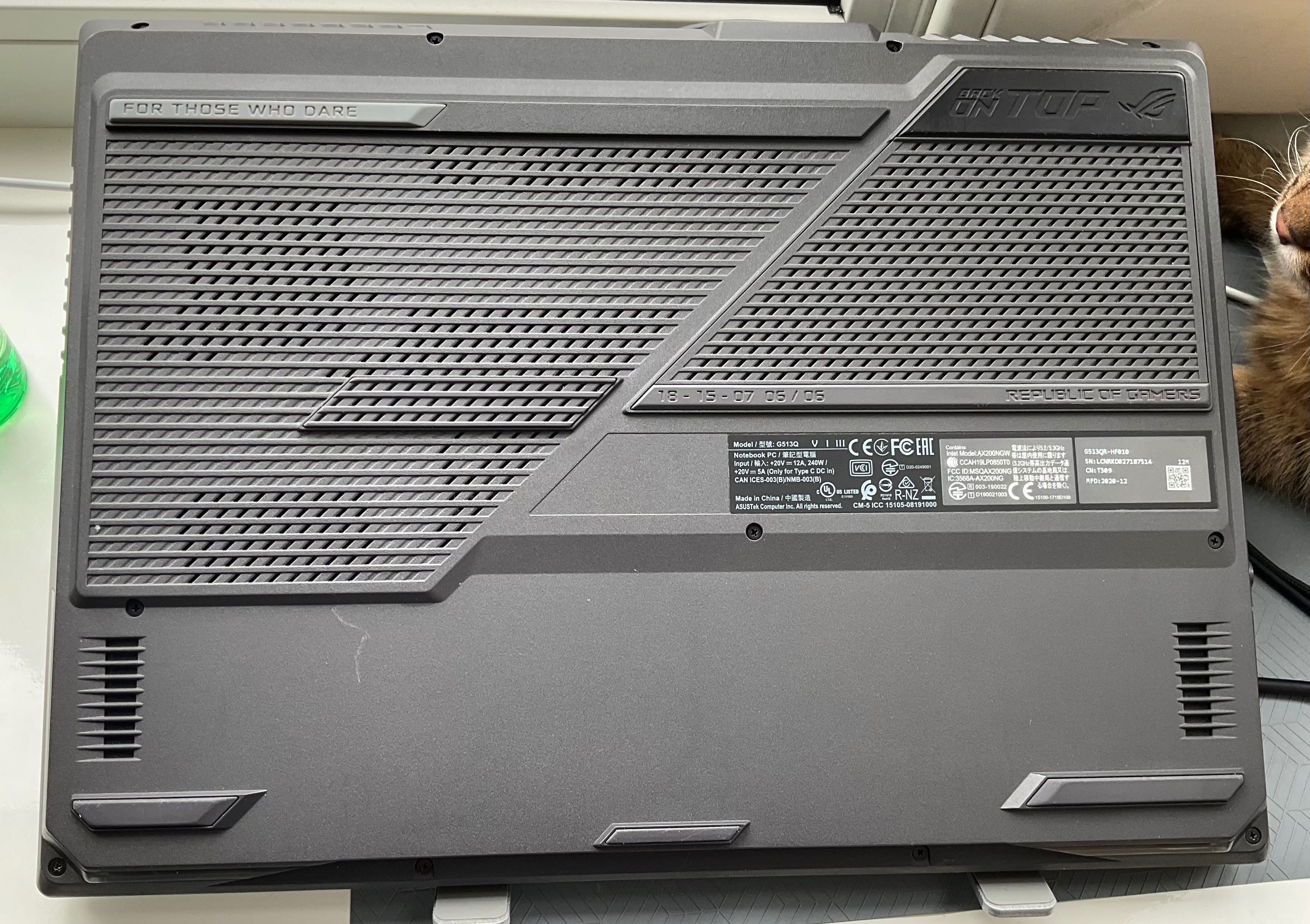 Asus Rog Strix G15 G513QR