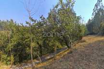 Terreno com 750m², localizado em Valdreu, Vila Verde