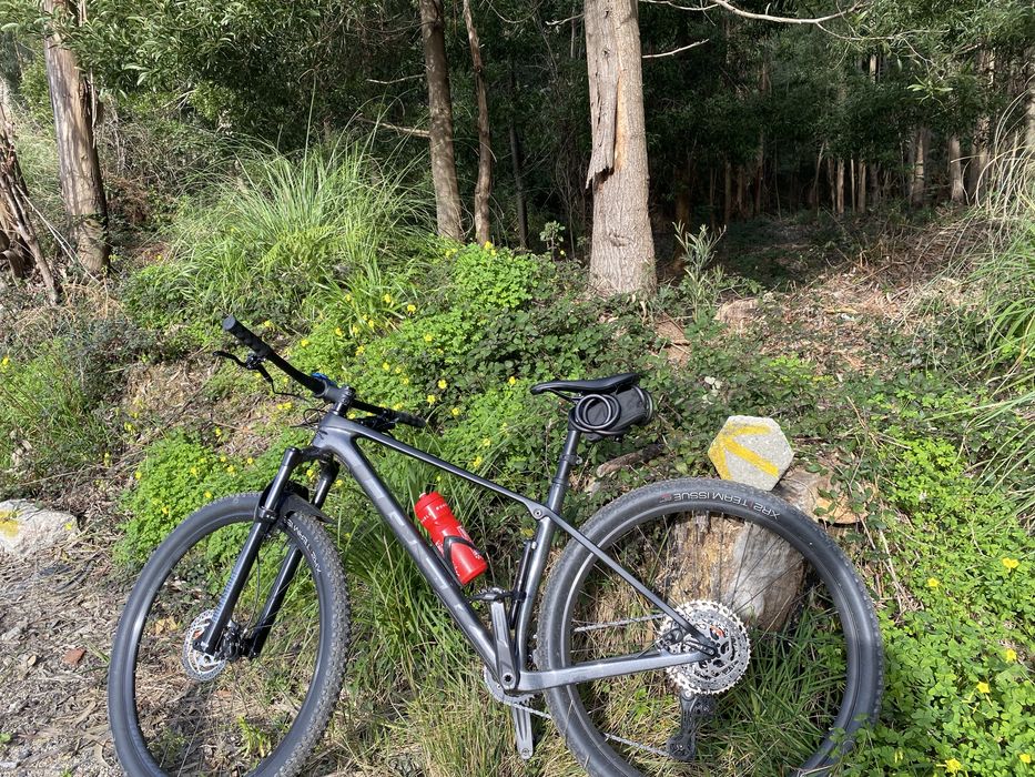 Bicicleta Trek Procaliber