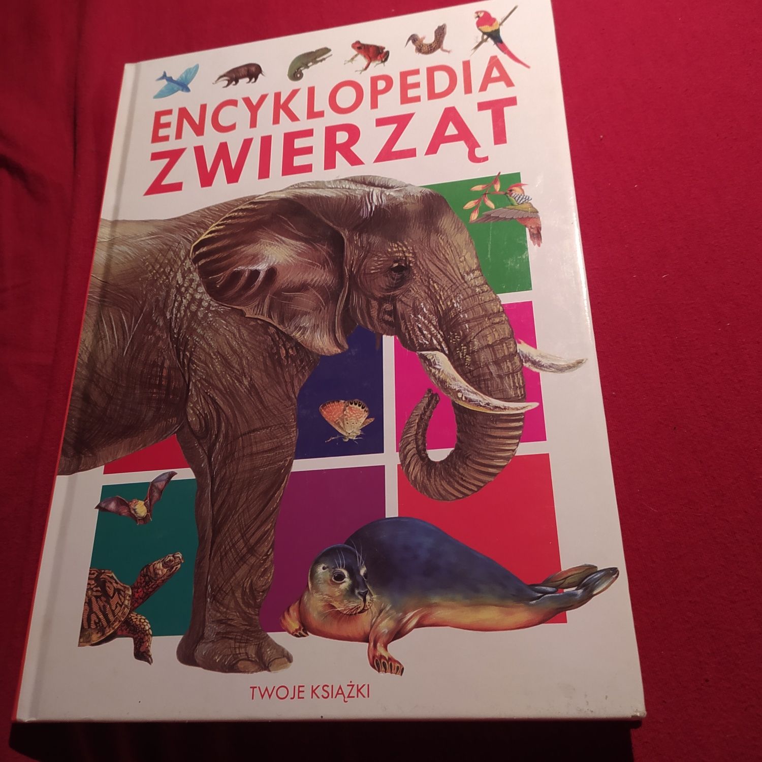 Encyklopedia zwierząt - Sylwia Weber