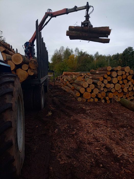 Drewno Kominkowe Opałowe ilości Cało Tirowe