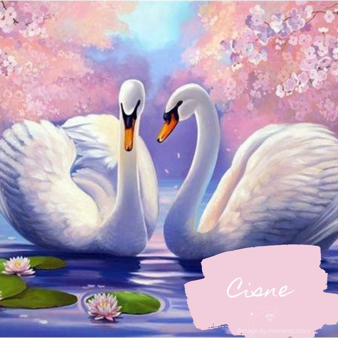 Tela de pintura por números "CISNE"