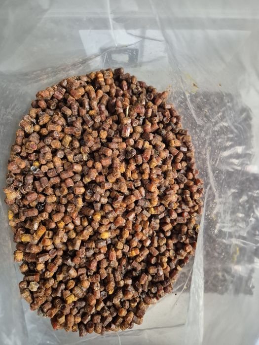 Pierzga Pszczela 1 kg