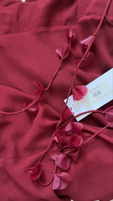 Сукня з ліанами Шипелик бурякова